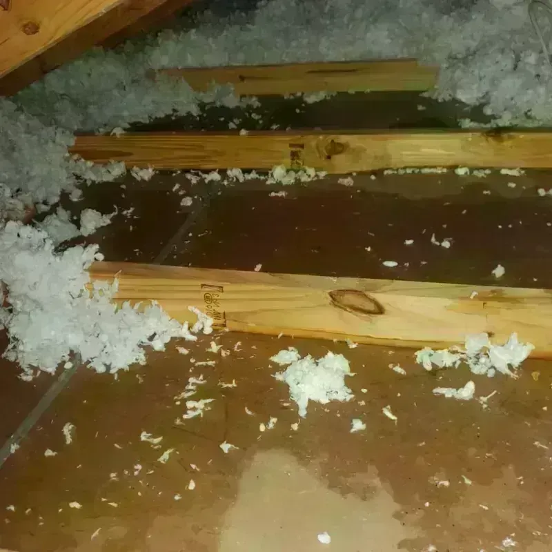 Attic Water Damage in Playa Fortuna, PR